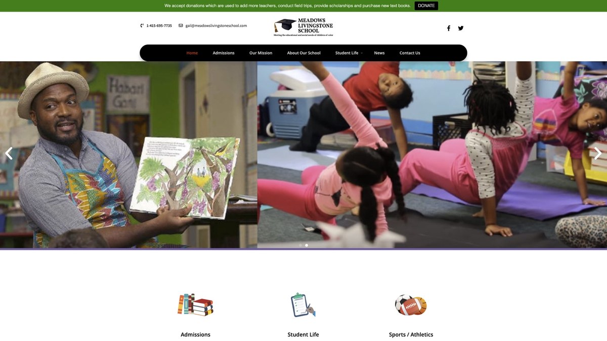 Meadows Livingstone School website mockup